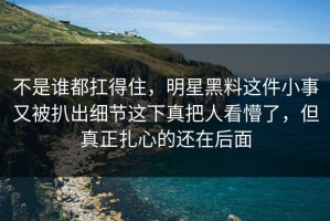 不是谁都扛得住，明星黑料这件小事又被扒出细节这下真把人看懵了，但真正扎心的还在后面