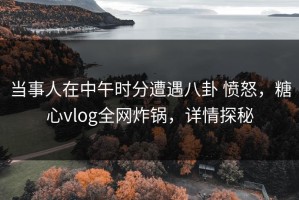 当事人在中午时分遭遇八卦 愤怒，糖心vlog全网炸锅，详情探秘