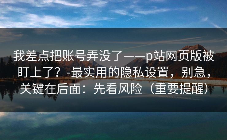 我差点把账号弄没了——p站网页版被盯上了？-最实用的隐私设置，别急，关键在后面：先看风险（重要提醒）