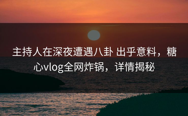 主持人在深夜遭遇八卦 出乎意料,糖心vlog全网炸锅,详情揭秘 主持人在深夜遭遇八卦 出乎意料,糖心vlog全网炸锅,详情揭秘