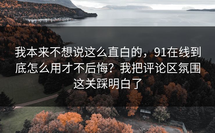 我本来不想说这么直白的，91在线到底怎么用才不后悔？我把评论区氛围这关踩明白了